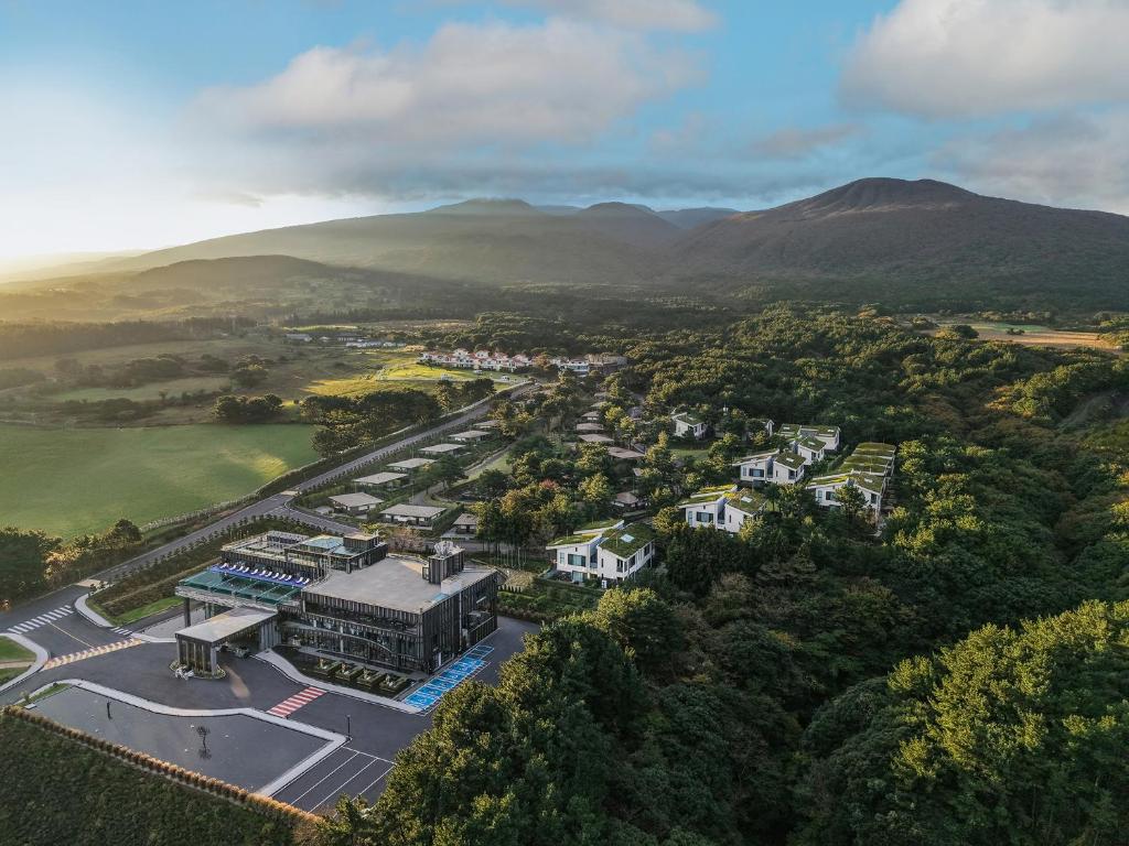Amber Pure Hill Hotels & Resorts Jeju in Jeju City