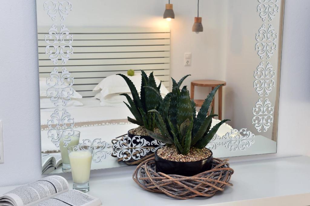 APOLLON Design Boutique Hotel in Parikia