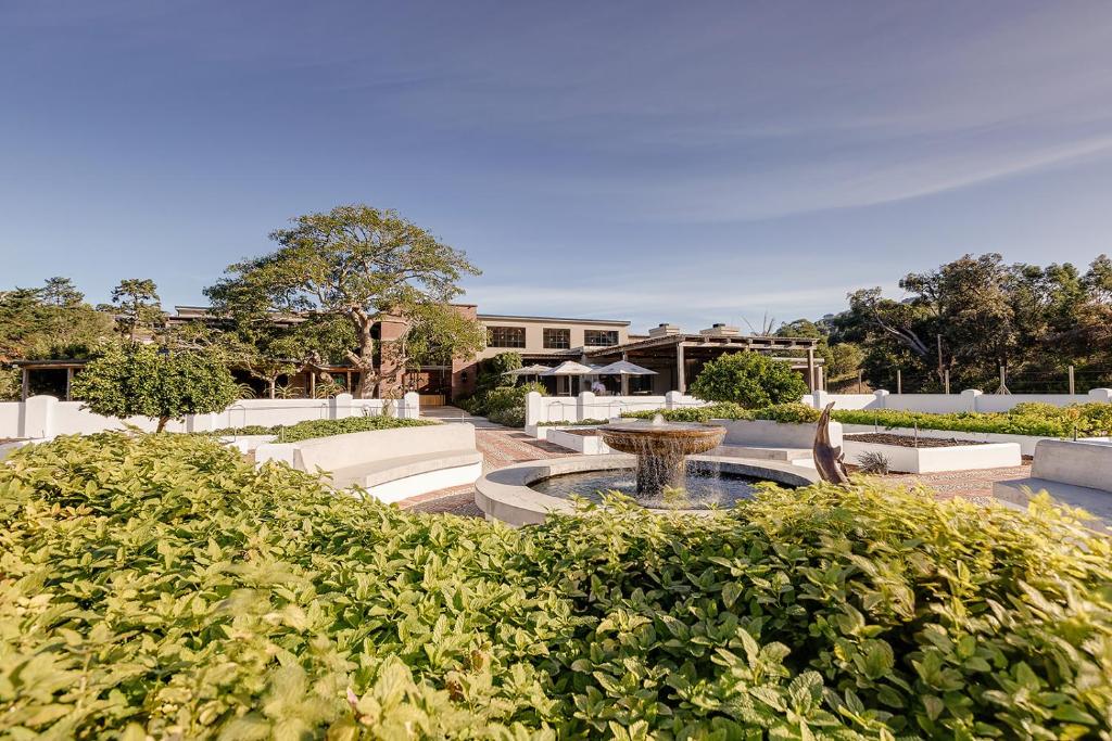 Barrington's in Plettenberg Bay