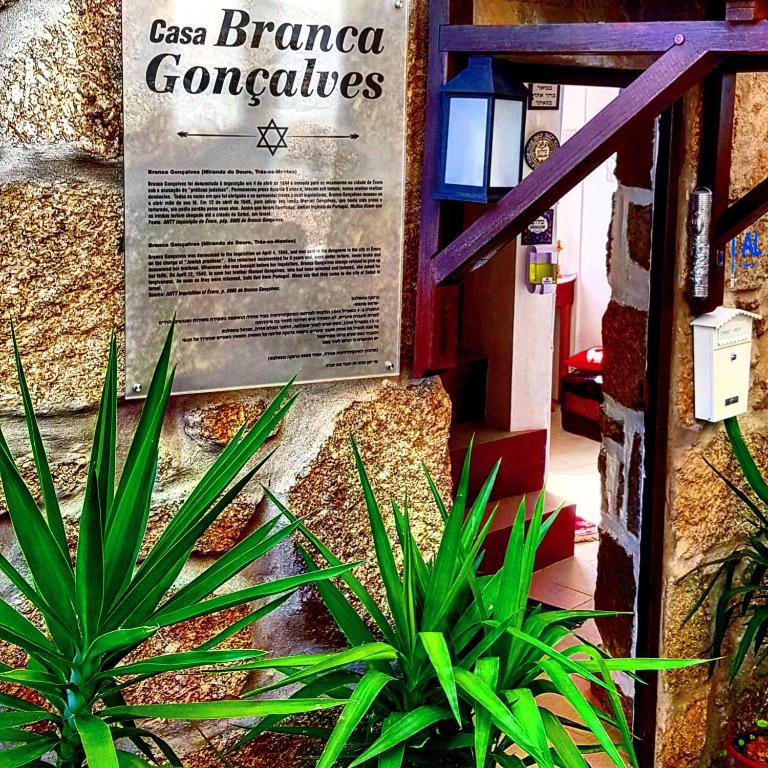 Branca Gonçalves Belmonte in Belmonte