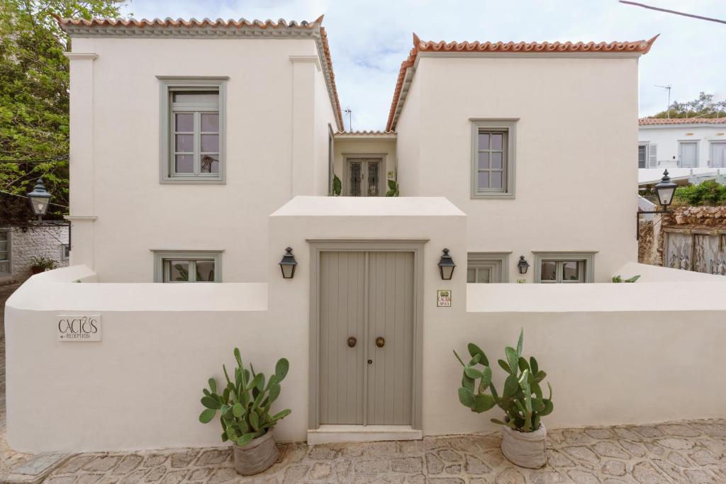 Cactus Hydra - Art Apartments in Hydra Town