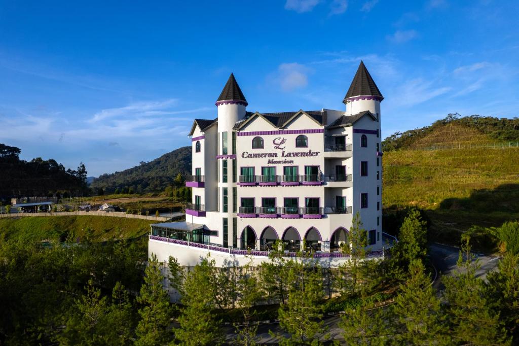 Cameron Lavender Mansion by PLAY in Cameron Highlands