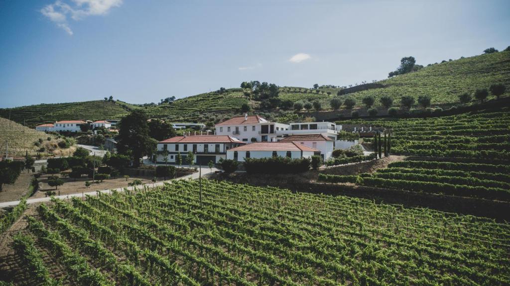 Casal dos Capelinhos - Douro in Santa Marta de Penaguião