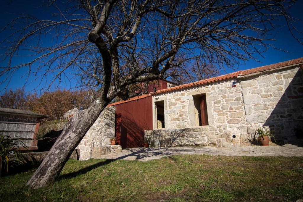 Casas dos Avos in Vale de Cambra