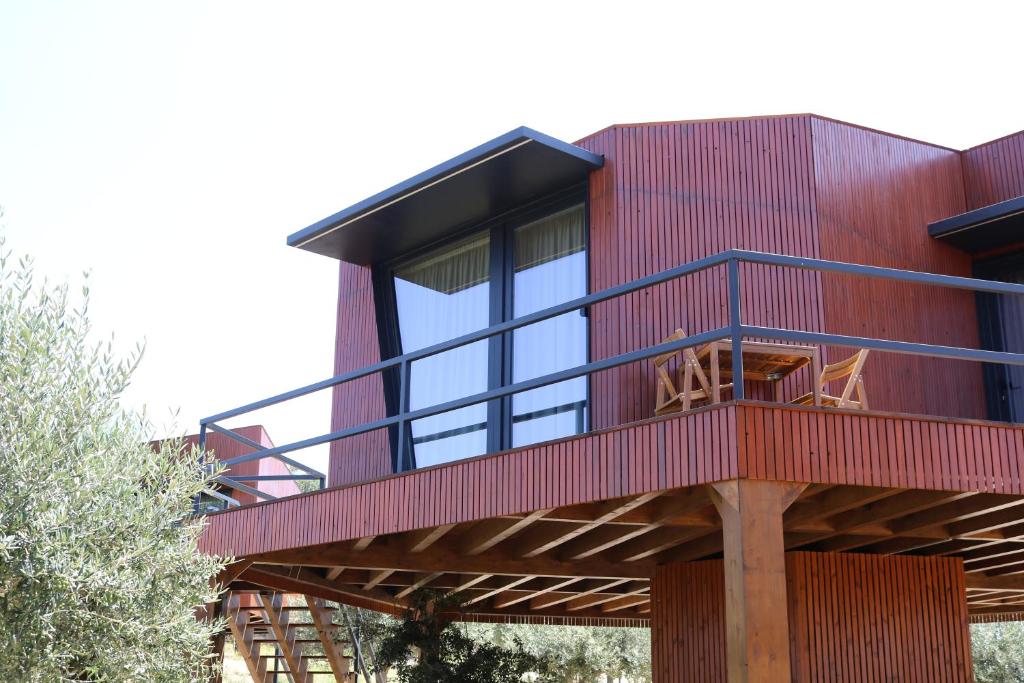 CÔA HONEYCOMB in Pinhel