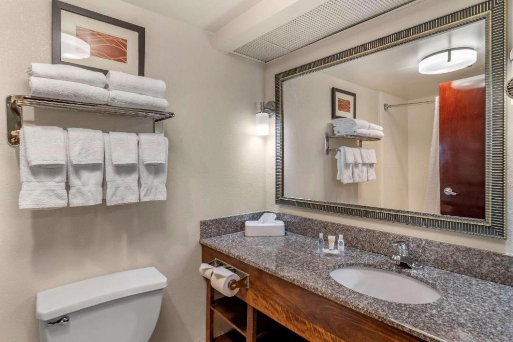 Comfort Inn & Suites Athens North in Athens