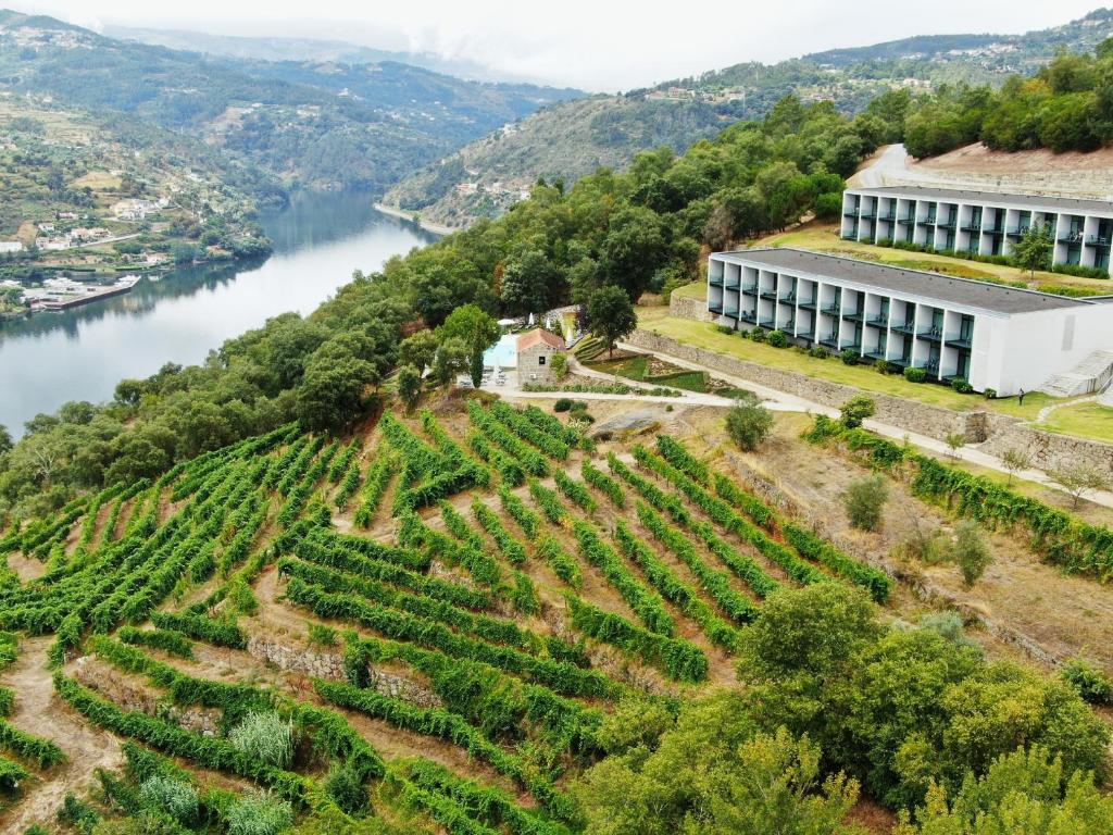 Douro Palace Hotel Resort & SPA in Baião