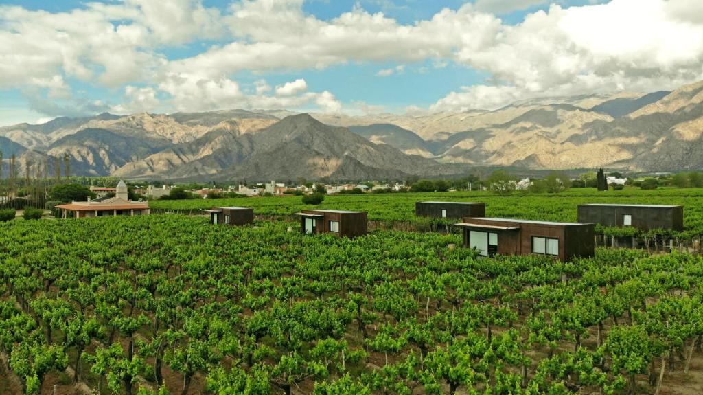El Porvenir Wine Lodge in Cafayate