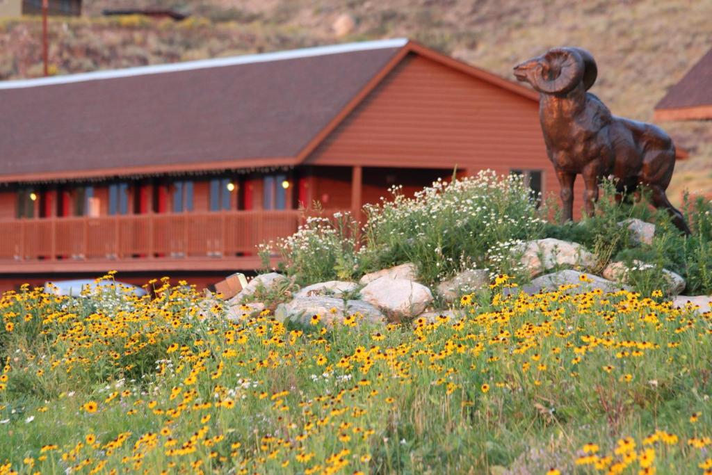 Flat Creek Inn in Jackson Hole