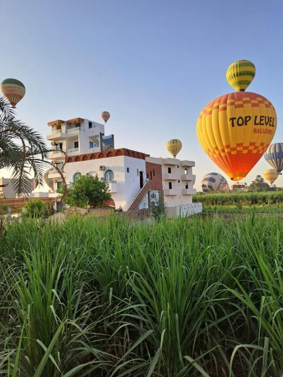 Flower Of Life Hotel in Luxor