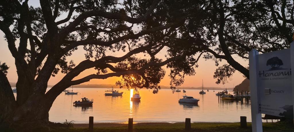 Hananui Lodge and Apartments in Paihia