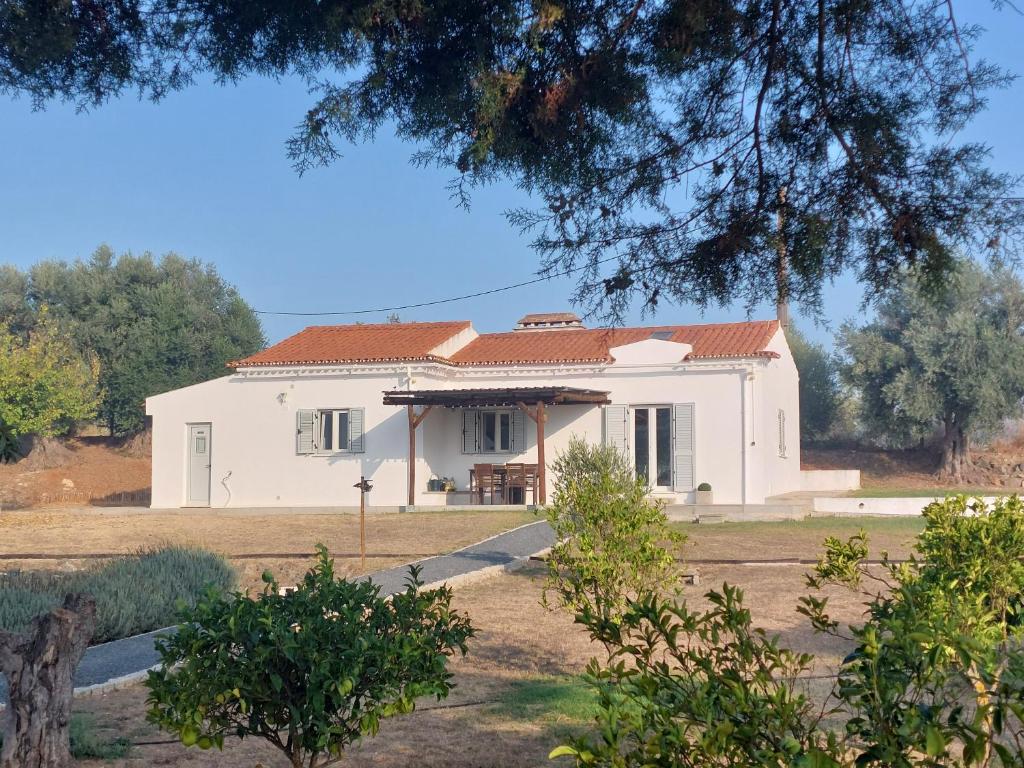 Horta da Rosa - Adults Only in Alvito