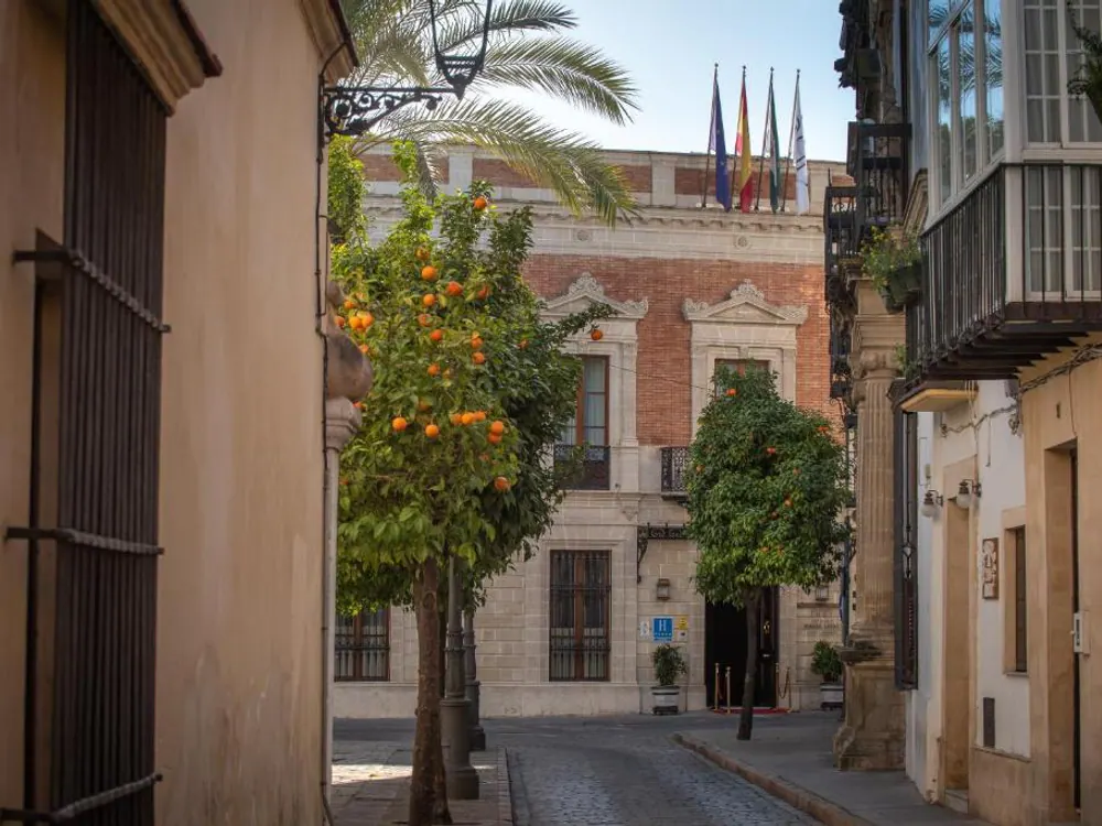 Hotel Casa Palacio María Luisa in Jerez de la Frontera
