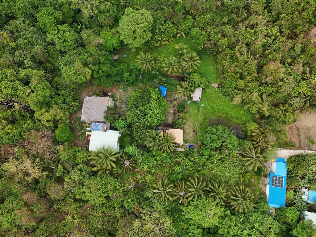 Hotel De Condor in Con Dao