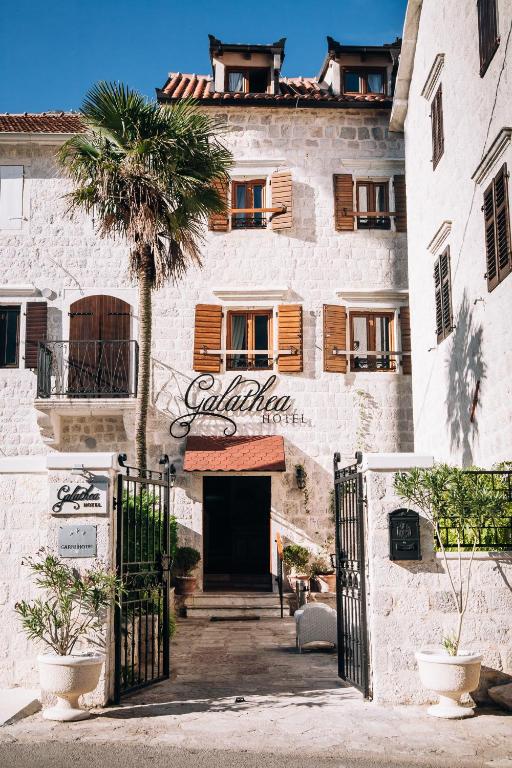 Hotel Galathea in Kotor