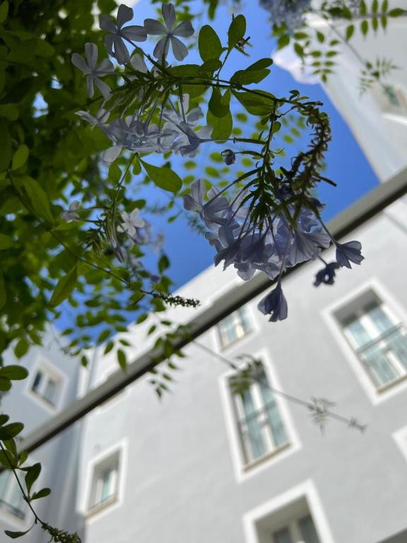 Hotel San Miguel Menorca in Mahón