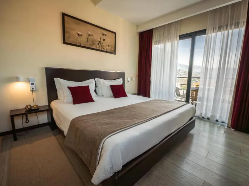 Hotel Sao Pedro - Arouca in Arouca