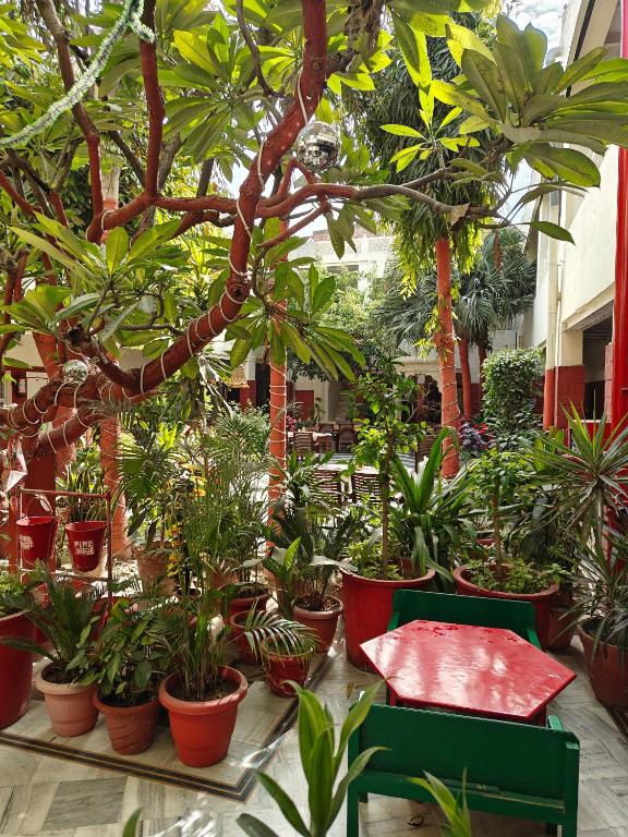 HOTEL TOURIST REST HOUSE Agra in Agra