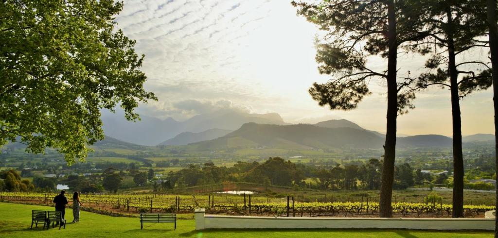 La Petite Ferme in Franschhoek