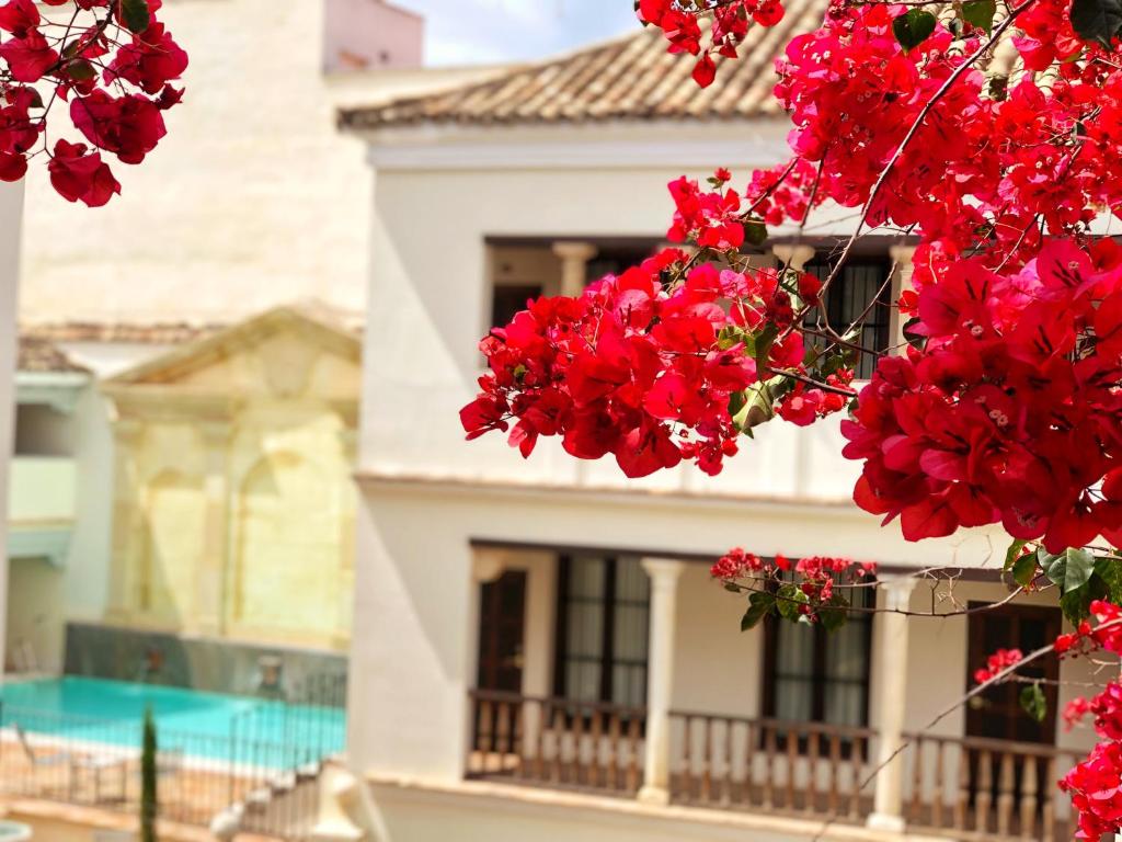 Las Casas de la Judería de Córdoba in Córdoba