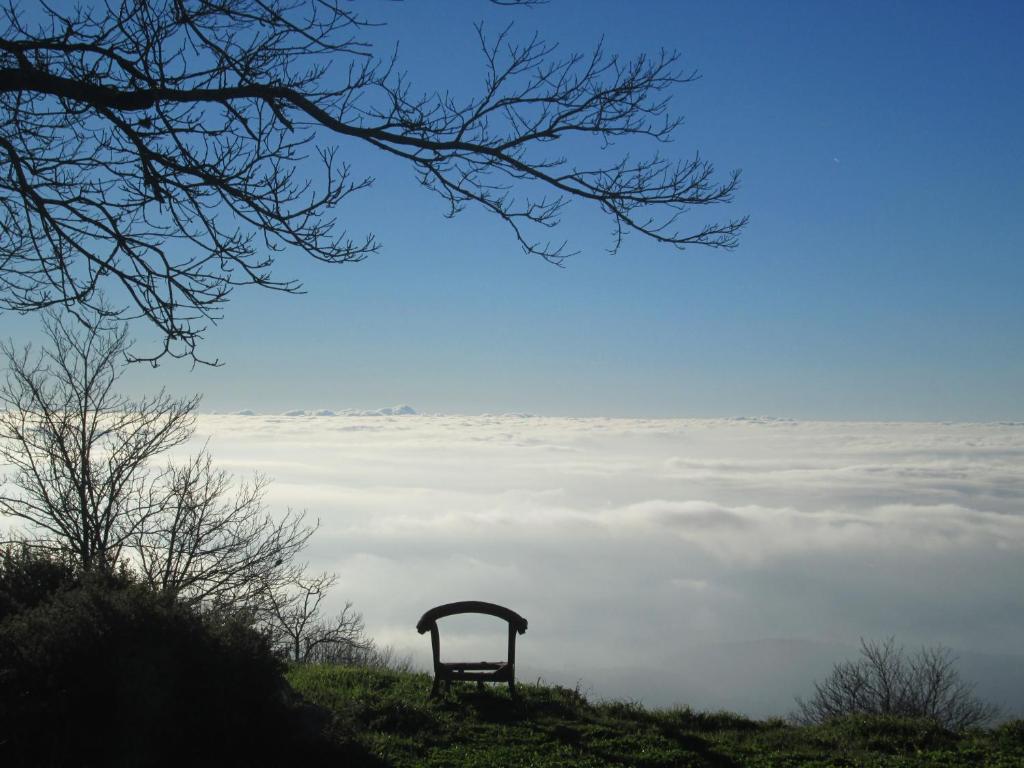 Montalma in Monchique