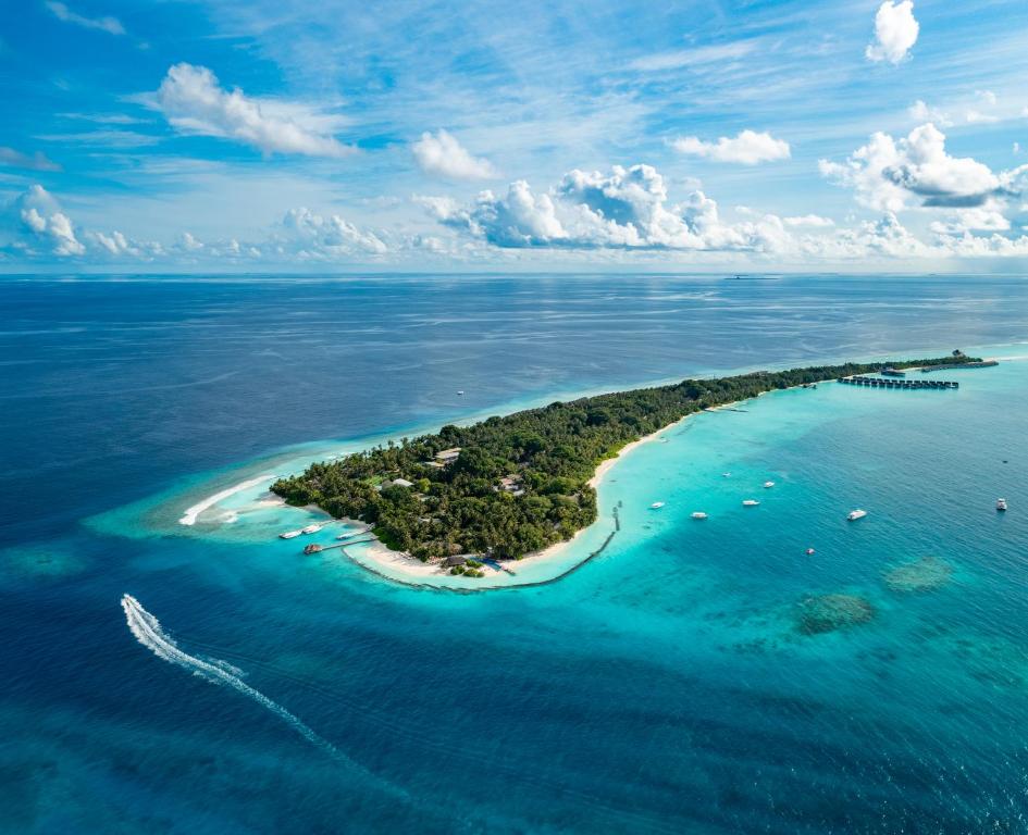 Niva Kuramathi Maldives in Rasdhoo
