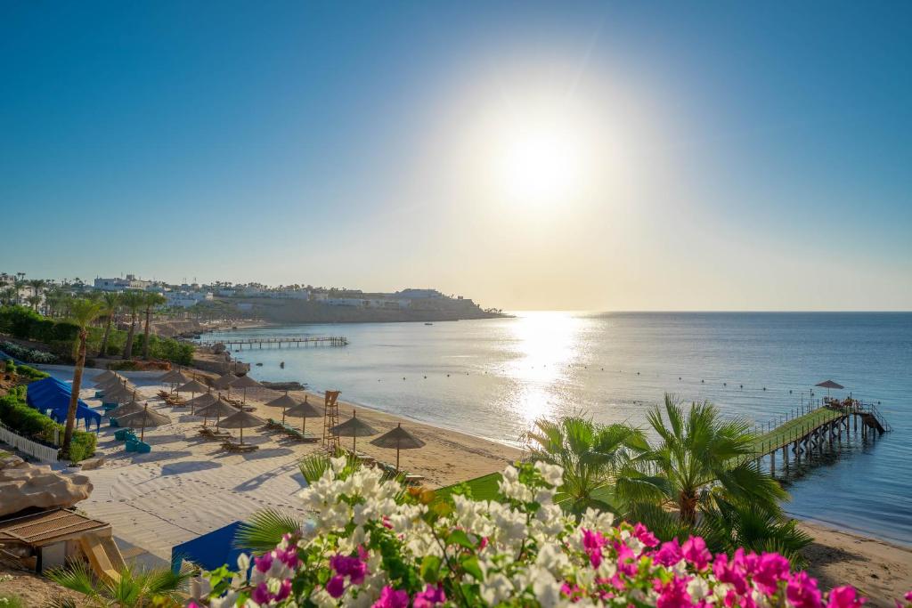 Park Regency Sharm El Sheikh Resort in Sharm El Sheikh