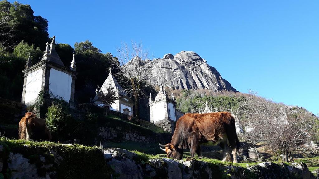 Penedino Mountain Cottage in Arcos de Valdevez