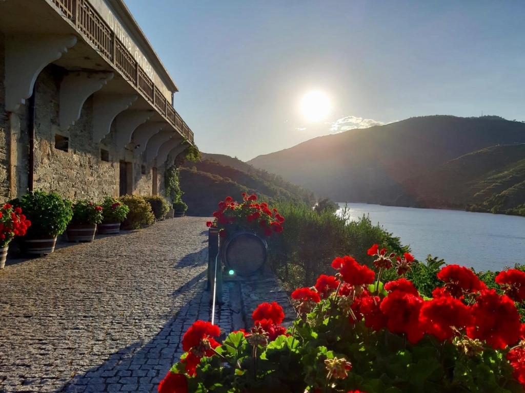 Quinta do Tedo in Armamar