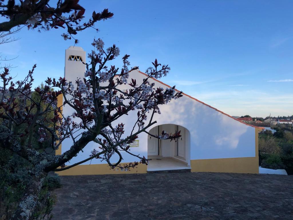 Quinta dos Girassóis FZ in Ferreira do Zêzere