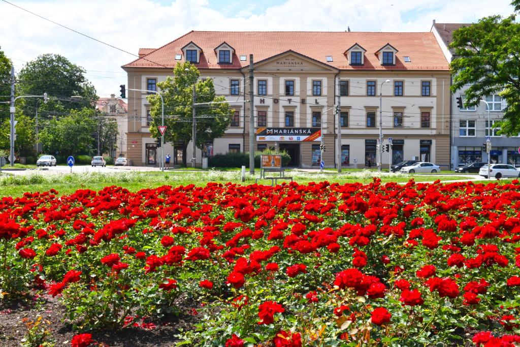 Residence Mariánská in České Budějovice