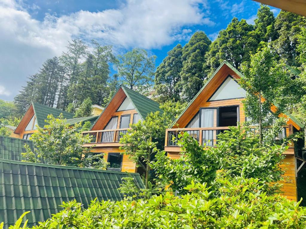 Sapa Pine Hill Eco Lodge in Sapa