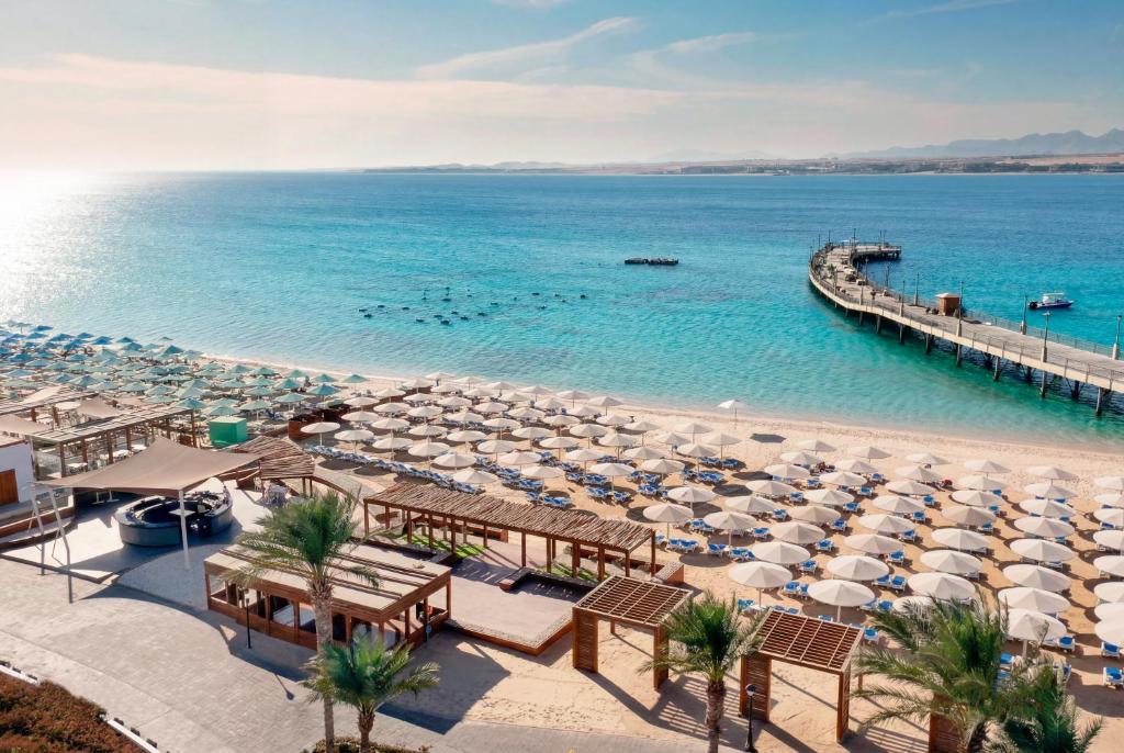 SRNTY Sahl Hasheesh in Sahl Hasheesh