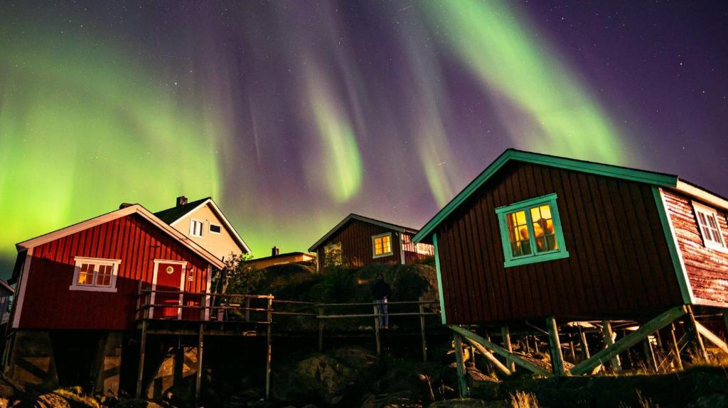 Svinøya Rorbuer in Svolvær