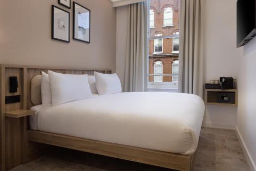 The Drey - Kensington, Earl's Court in London