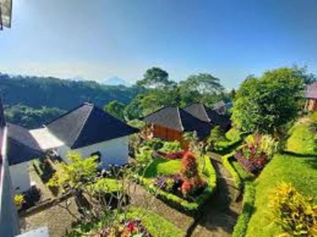 The Green Ponci Bedugul in Bali