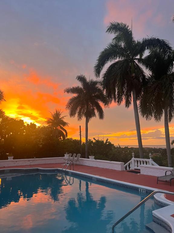 The Lodge @ Peaceful Palms in Montego Bay
