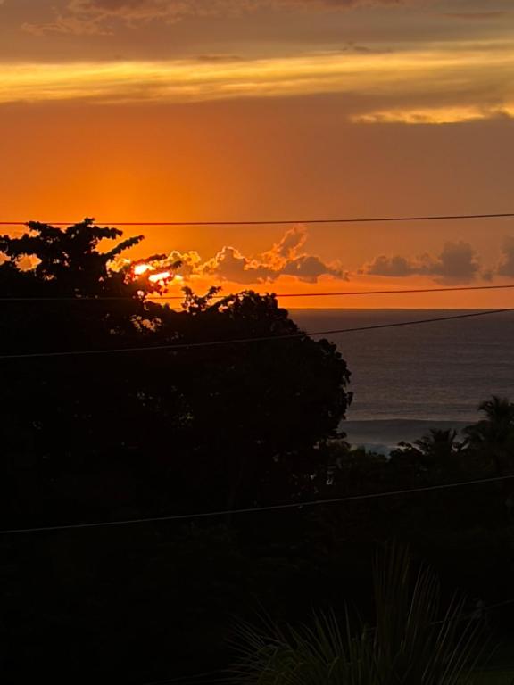 Tres Palmas Boutique Hotel in Rincón