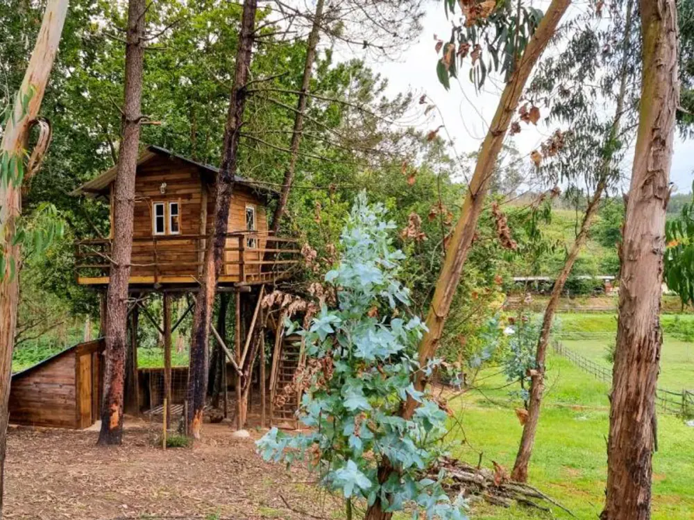 Vale da Silva Villas - Quinta in Albergaria-a-Velha