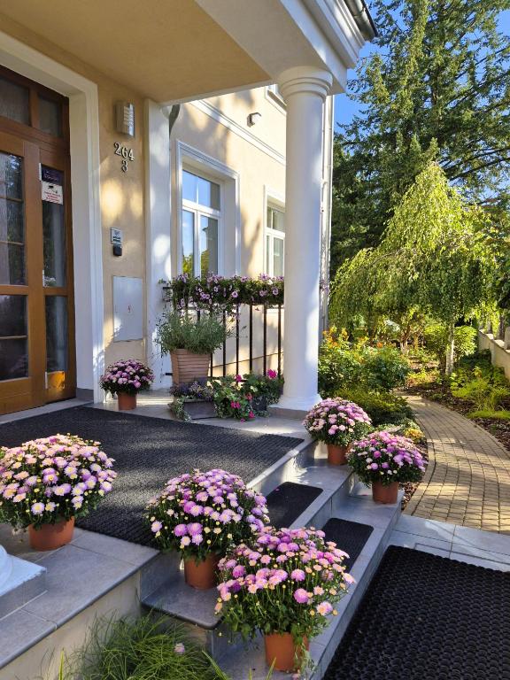 Villa Walir - Spa Hotel Garni SUPERIOR in Mariánské Lázně
