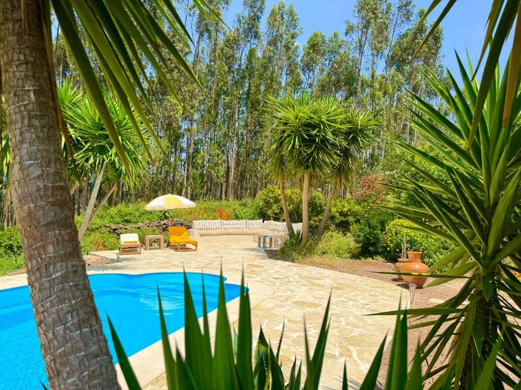 Wellbeing guesthouse Casa é Connosco in Alvaiázere