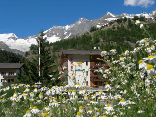 Hotel Adler in Saas-Grund